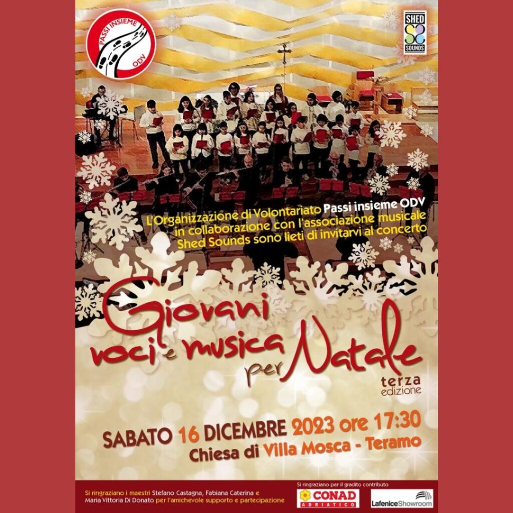 L'Organizzazione di Volontariato Passi Insieme ODV, in collaborazione con l'Associazione musicale Shed Sounds, è lieta di invitarvi al Concerto di Natale 